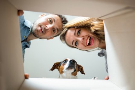 Paar mit Hund beim Auspacken